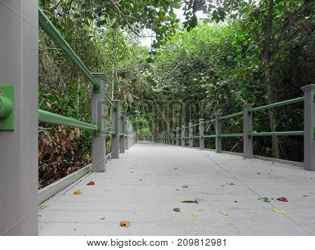 Bailey Homestead Preserve Trail Memorial Boardwalk Sanibel Florida