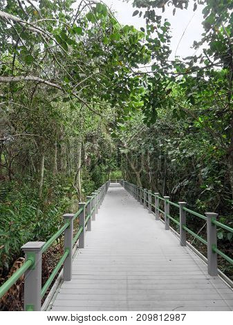 Bailey Homestead Preserve Trail Memorial Boardwalk Sanibel Florida