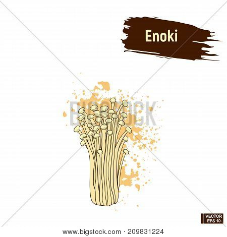 Colored Sketch Enoki Mushrooms