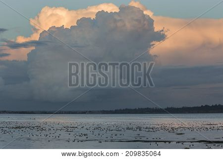 Sea And Clouds At Boundary Bay Delte Bc Canada 2017 Oct.