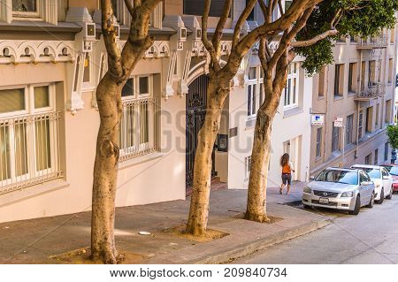 Architecture Of San Francisco, Usa