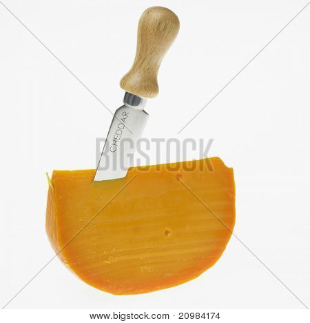 cheddar ost