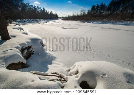 Winter Snowy Landscape On The Russian River