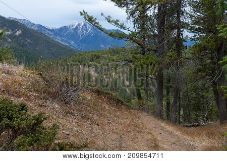 Hiking Trail on Mt. Swansea near Invermere BC.