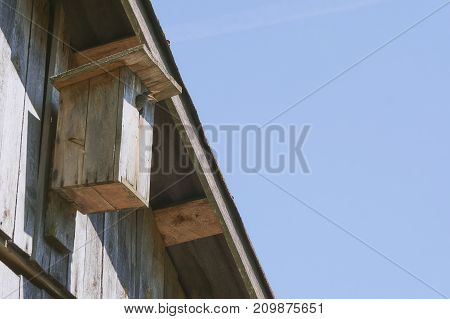 Wooden Birdhouse With Its Inhabitant Starling