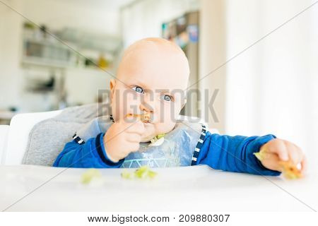 Baby boy eating bread and cucumber with BLW method baby led weaning. Seriosu vegetarian kid eating lunch. Child eat himself self-feeding.
