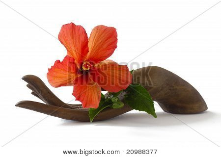 Rote Hibiscus auf eine hölzerne Hand-Statuette