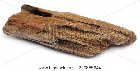 Closeup of Decorative bogwood isolated over white background