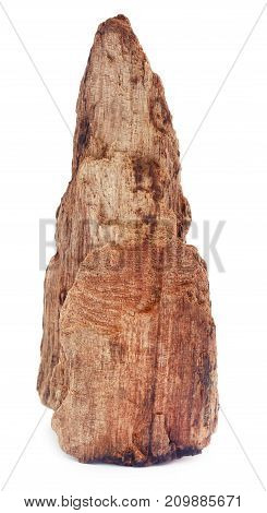 Close up of bogwood over white background