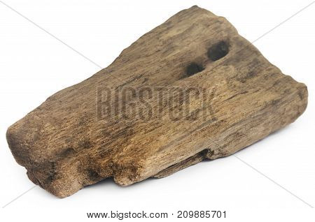 Close up of bogwood over white background