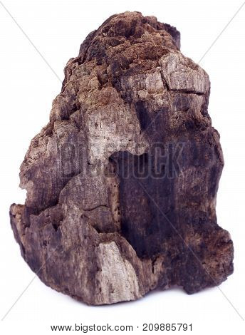 Close up of bogwood over white background