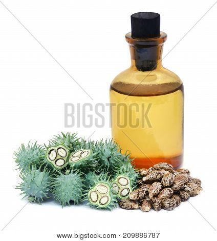 Castor oil with green beans over white background