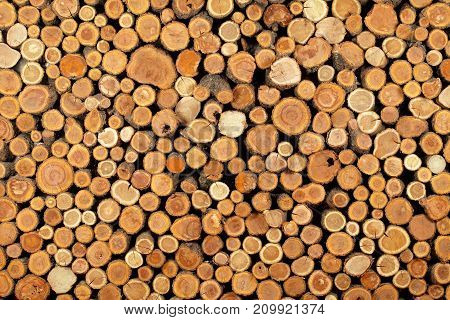 sawn logs and wood prepared for use in construction or heating