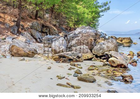 Natural background with green sea, tree, stones and forest