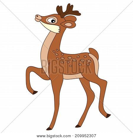 Vector cute cartoon deer standing. Vector baby deer. Dear vector illustration