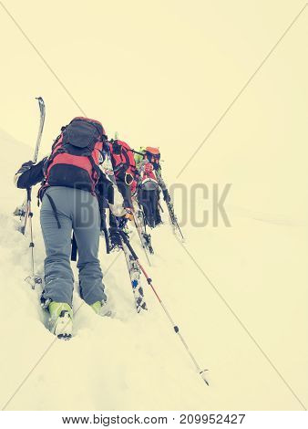 Group of cross-country skiers ascending a steep slope. Line of people in winter fairytale.
