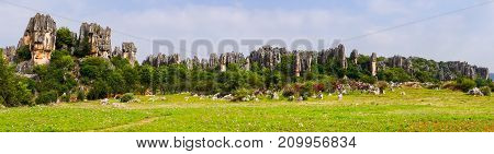 Panomaric view of Naigu Shilin limestone pinnacles Stone forest, Yunnan Province - China. The Stone Forest or Shilin is a UNESCO World Heritage Sites near Kunming