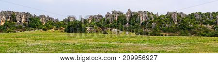 Panomaric view of Naigu Shilin limestone pinnacles Stone forest, Yunnan Province - China. The Stone Forest or Shilin is a UNESCO World Heritage Sites near Kunming