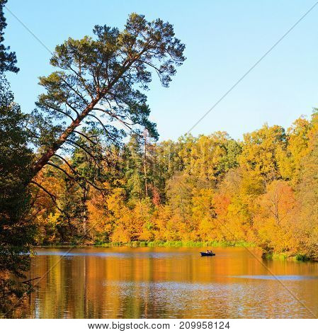 autumn forest and the lake on which the boat floats , bright colors, wildlife