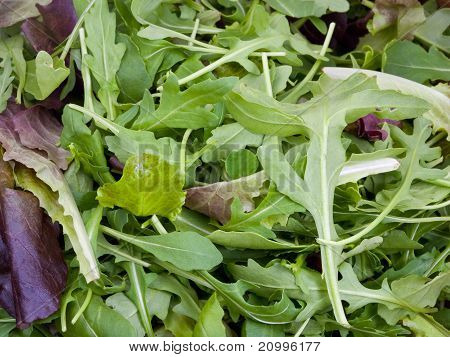 Rocketsalad lähikuvat