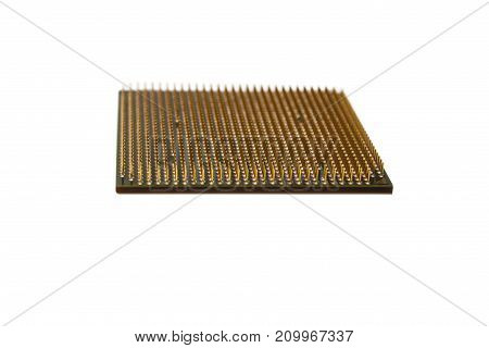 CPU gold pins isolated on white background
