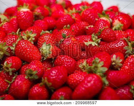 A top view on a fresh ripe red strawberries. Healthy organic summer fruits. Fruits background. Close-up of strawberry. Food concept.