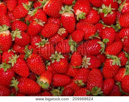 A top view on a fresh ripe red strawberries. Healthy organic summer fruits. Fruits background. Close-up of strawberry. Food concept.