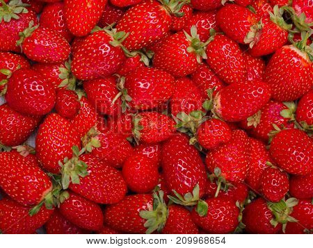 A top view on a fresh ripe red strawberries. Healthy organic summer fruits. Fruits background. Close-up of strawberry. Food concept.