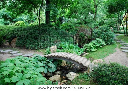 Japanse tuin met een brug