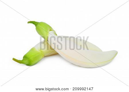 white sesban vegetable isolated o white background