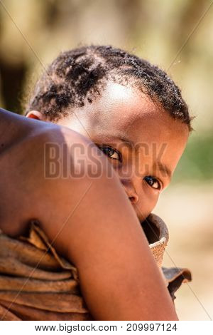 Bushman People In Namibia