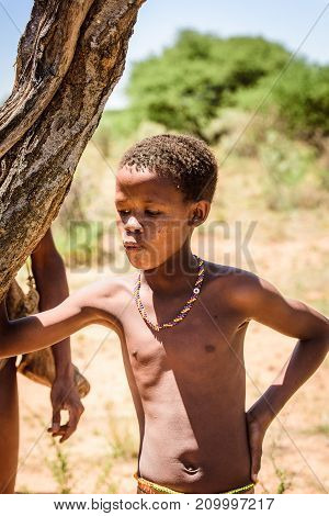 Bushman People In Namibia