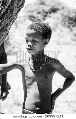 Bushman People In Namibia
