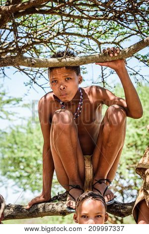 Bushman People In Namibia