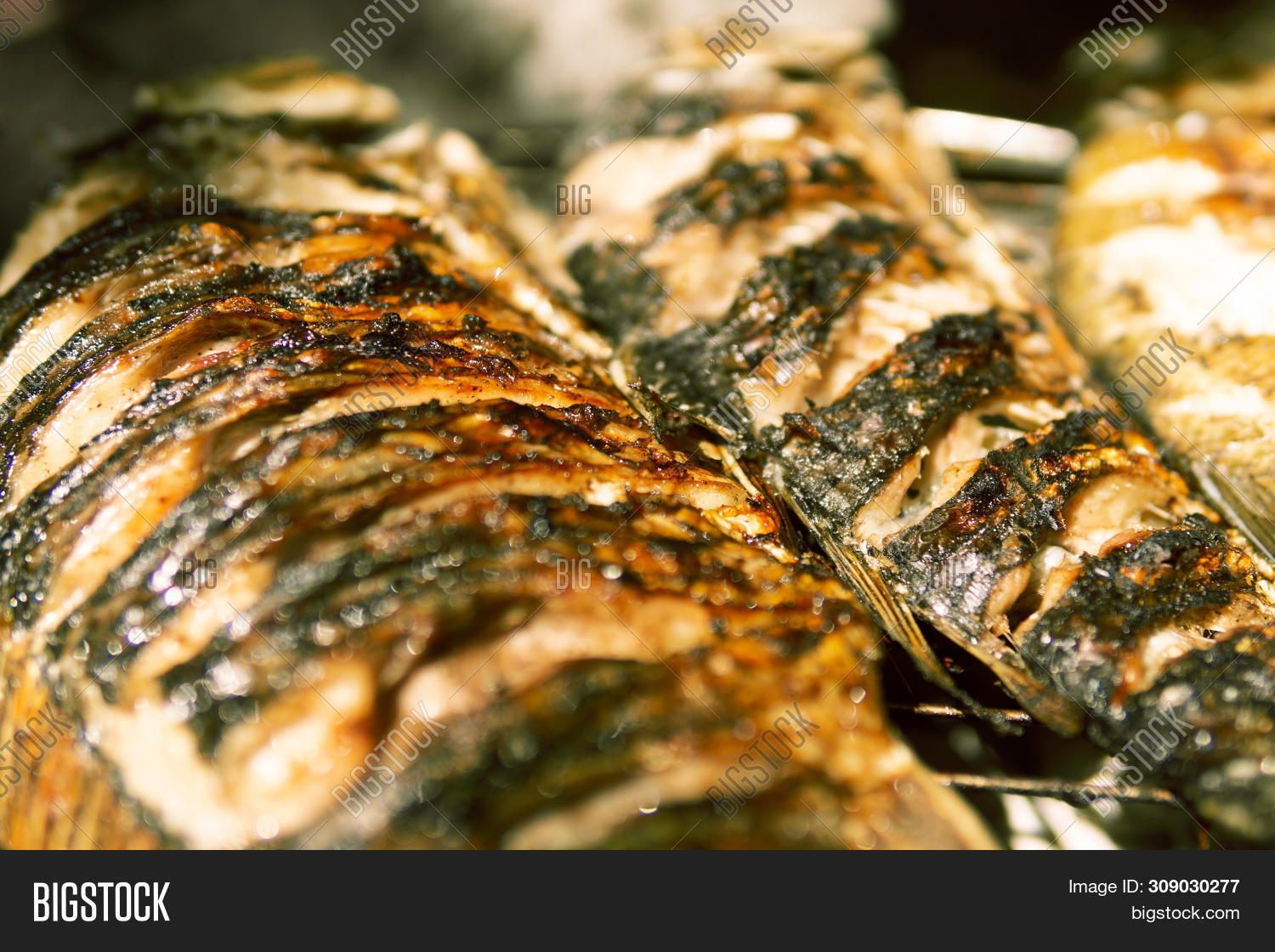 Cooking Fish On Grill Image & Photo (Free Trial) | Bigstock