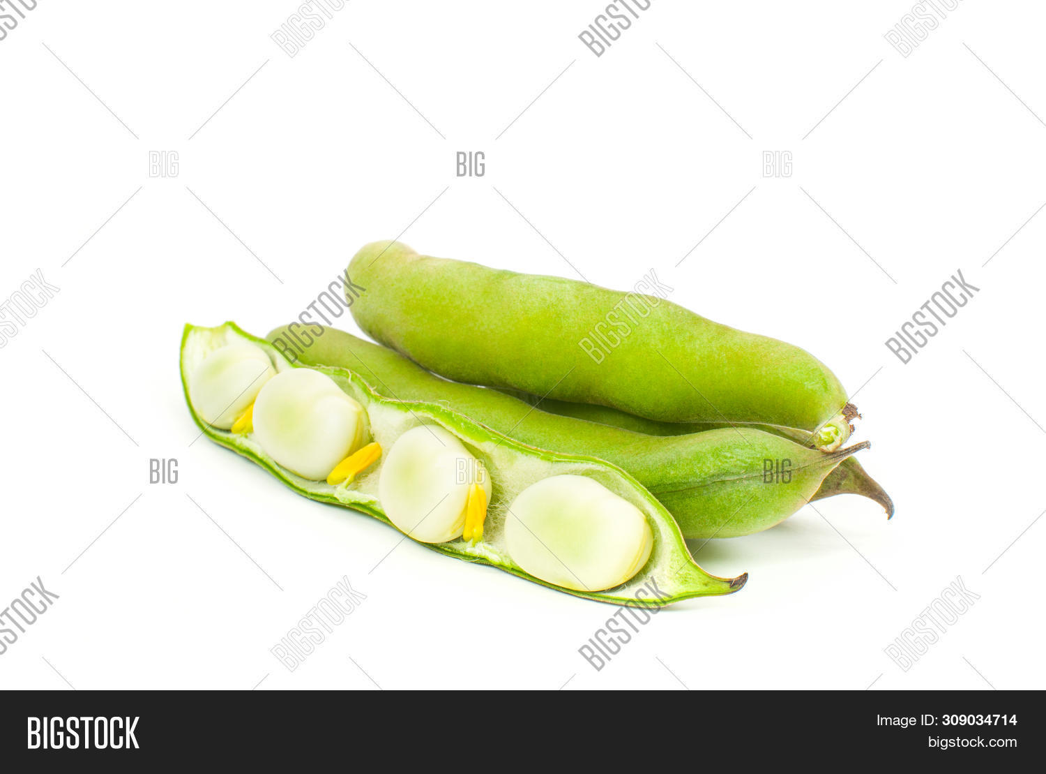 Green Bean. Fresh Lima Image & Photo (Free Trial) Bigstock