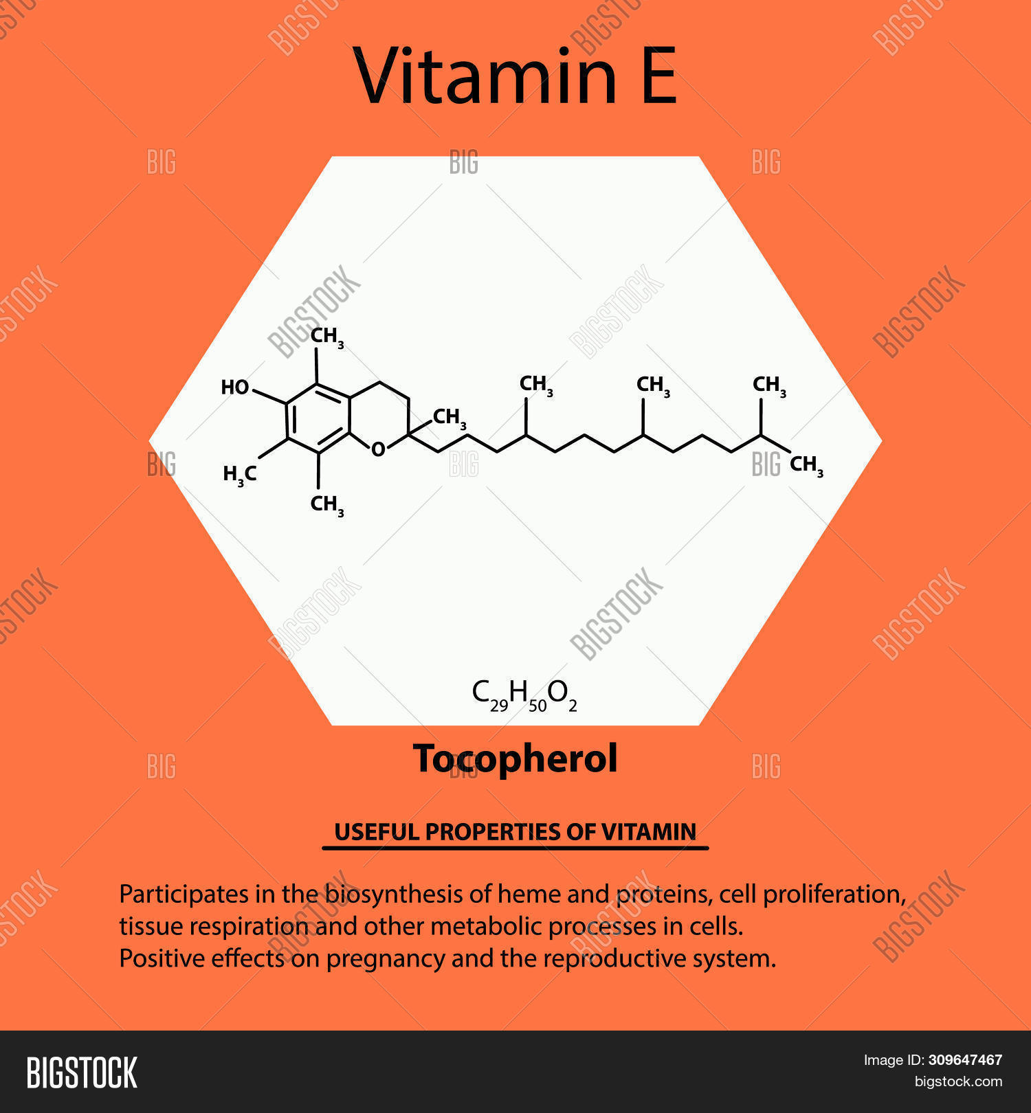 Vitamin E. Tocopherol Image & Photo (Free Trial) Bigstock