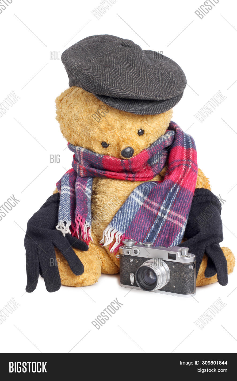 Teddy Bear Toy Camera Image & Photo (Free Trial) Bigstock