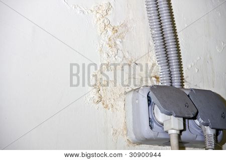 Mold on the wall