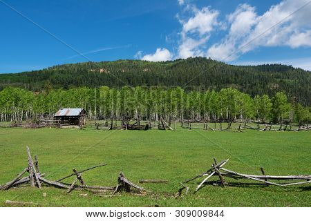 Old Corral Fencing