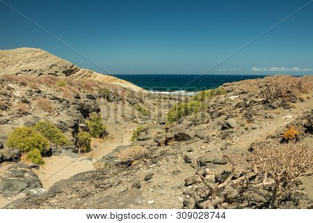Typical View Of The Tenerife South. Dry Sandstones Coastline In The Background. Lava Rocks. Clear Bl