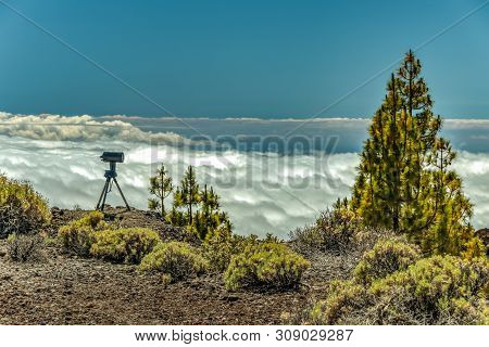 Mountains And Pine Tree Forest Near Volcano Teide, Partly Covered By The Clouds. Bright Blue Sky. Te