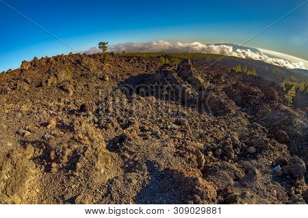 Magical Sunset Time Above The Clouds In The Tenerife Mountains In Canary Islands. Fresh Lava Fields