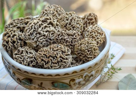 Freshly Harvested Spring Edible Morel Mushrooms In A Ceramic Bowl. Closeup, Shallow Depth Of Field.