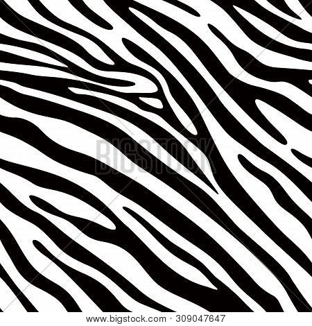 Zebra Print Seamless Pattern. Wild Animal Texture. Striped Black And White. Design Trendy Fabric Tex