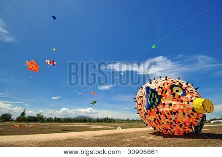 泰国国际风筝节 2012