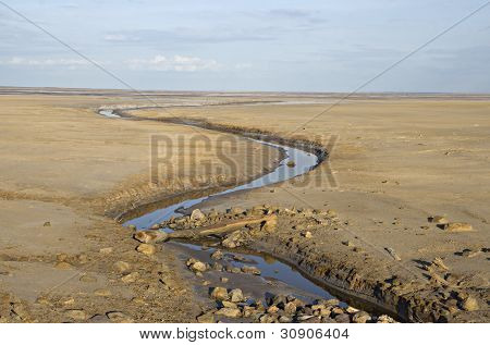 Brook In A Deserted Land