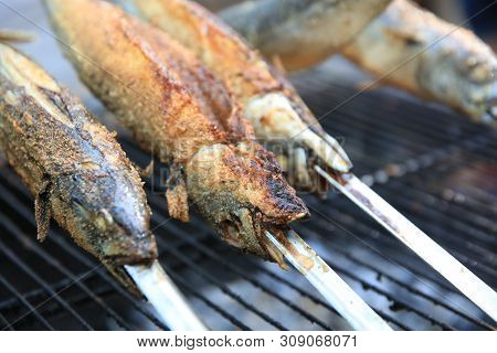 Fresh Mackerel On Stick At Barbecue Party. Germany