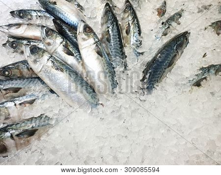 Top View Of Fresh Mackerel Or Saba On Ice For Sale In The Fish Market At Thailand, Seafood As A Back