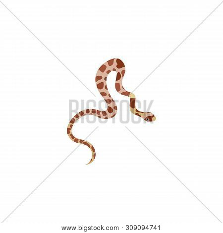 Tropical Snake Isolated On White Background. Vector